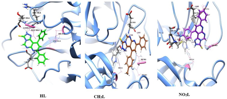 Fig. 10