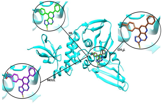 Fig. 11