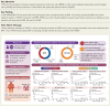 structured graphical abstract