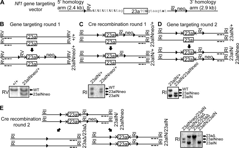 FIG 3