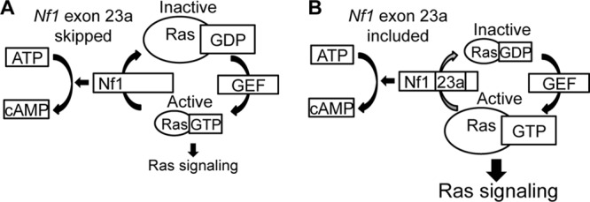 FIG 9