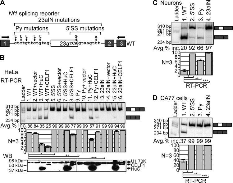 FIG 2