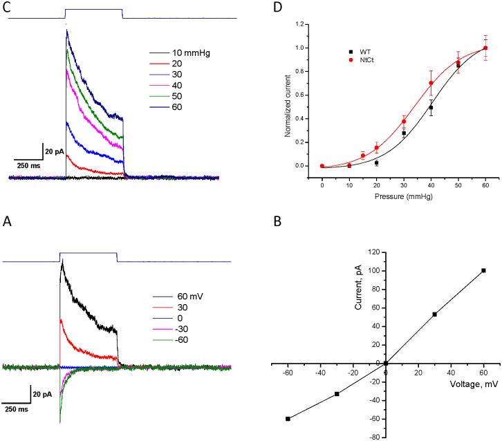 Fig 4