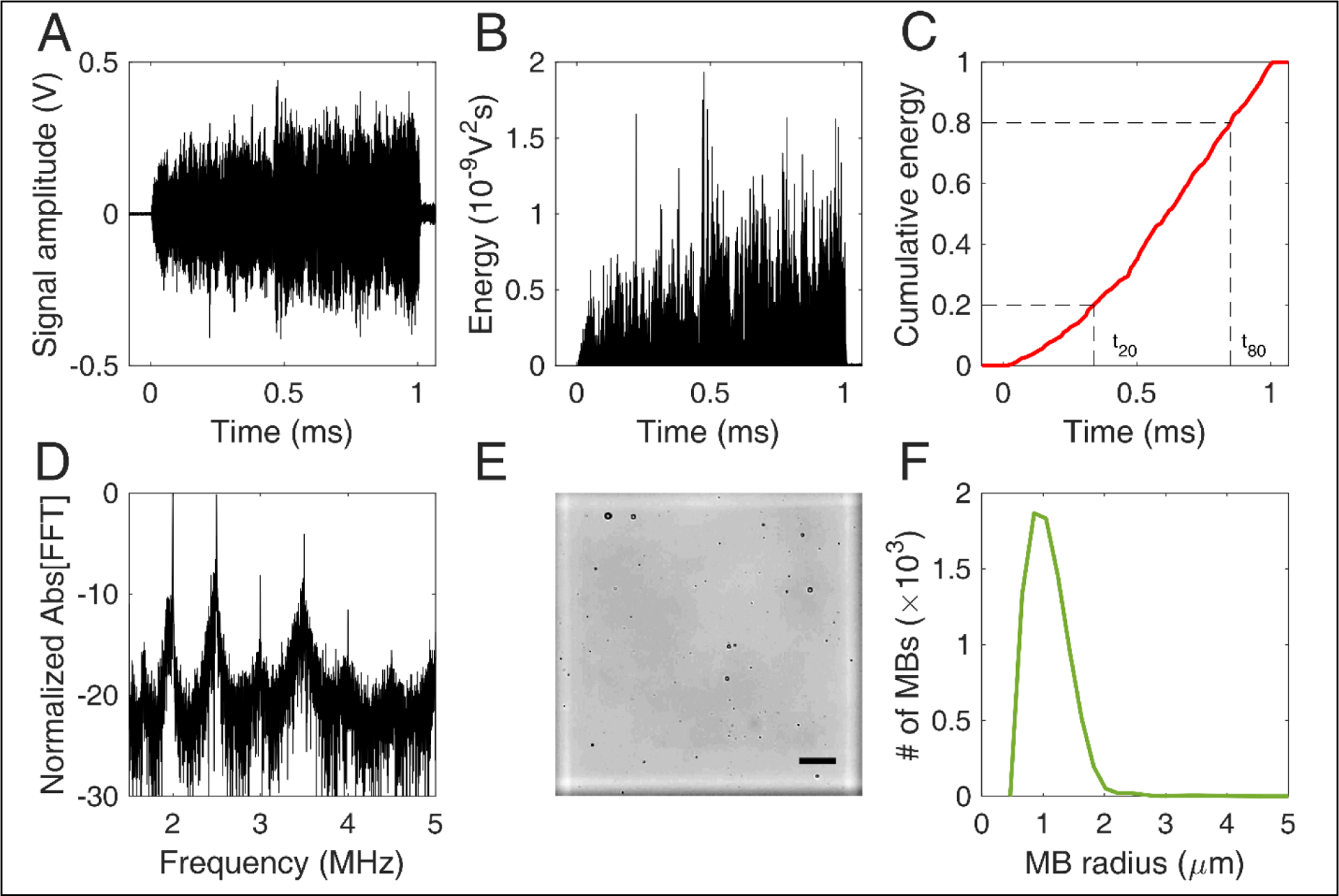 FIGURE 2 |