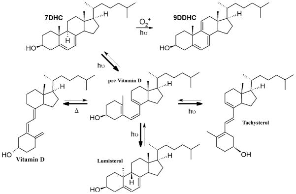 Figure 19