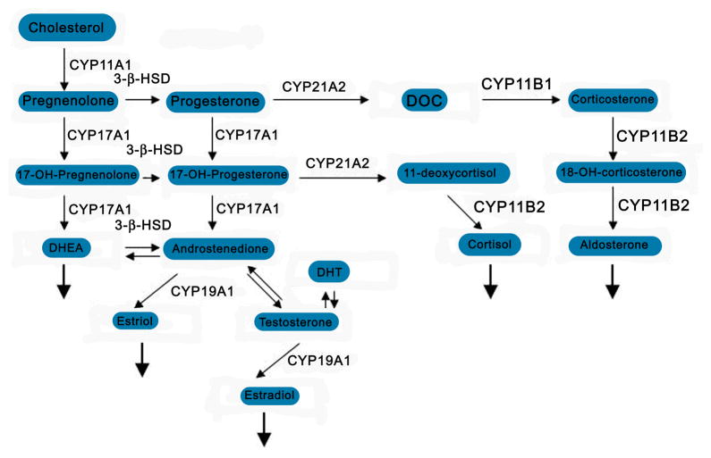 Figure 14