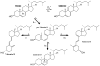Figure 19