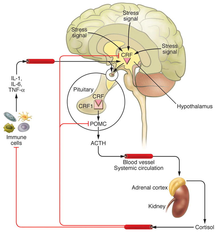 Figure 15