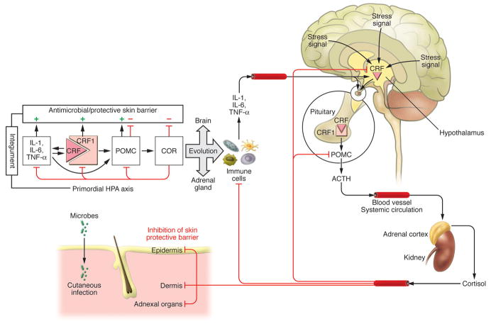 Figure 18