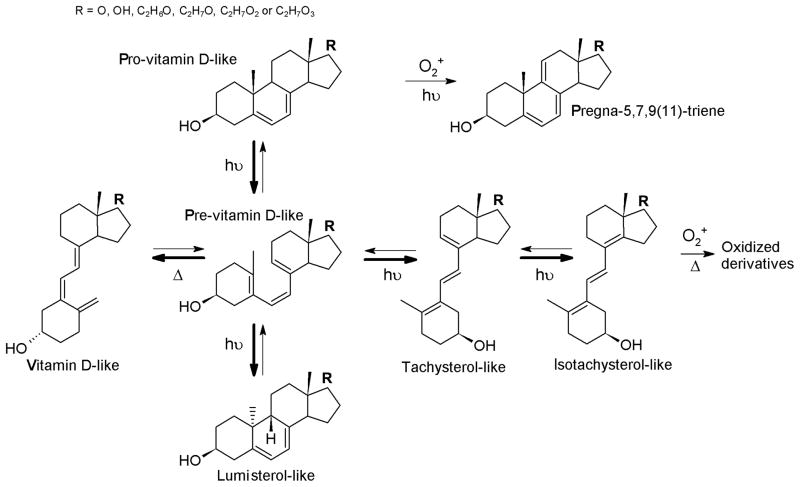 Figure 20