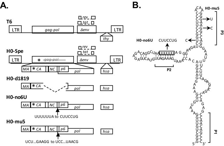 FIG 1