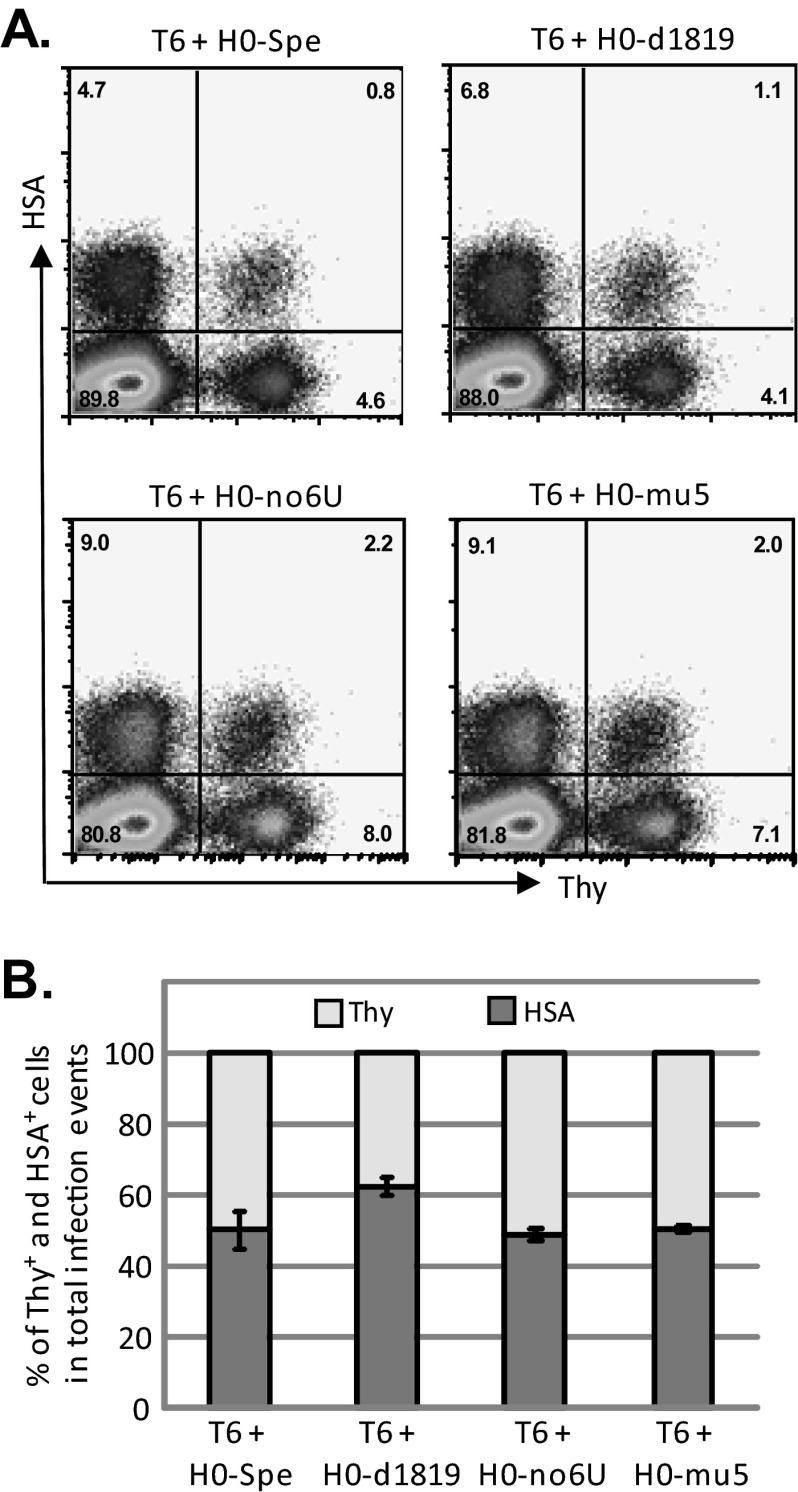 FIG 3