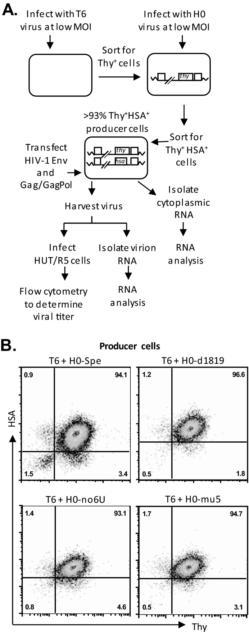 FIG 2