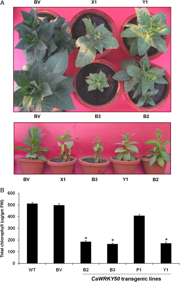 Figure 7.