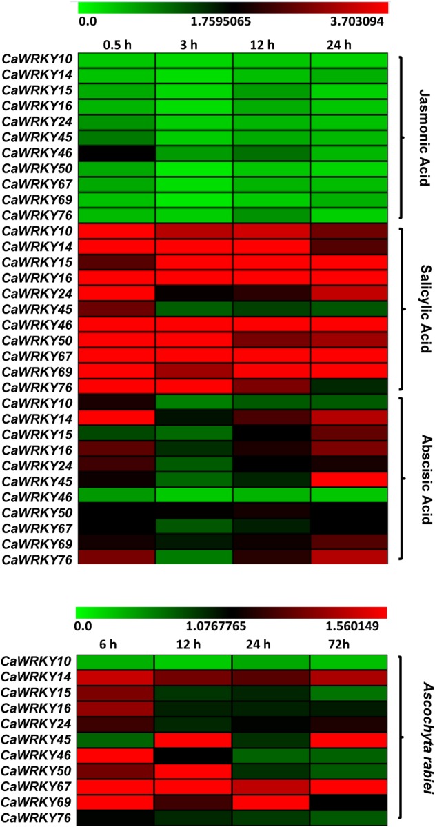 Figure 4.