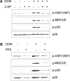 FIG. 10.