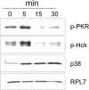FIG. 9.