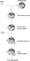 FIG. 11.
