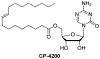Figure 13.