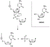 Figure 14.