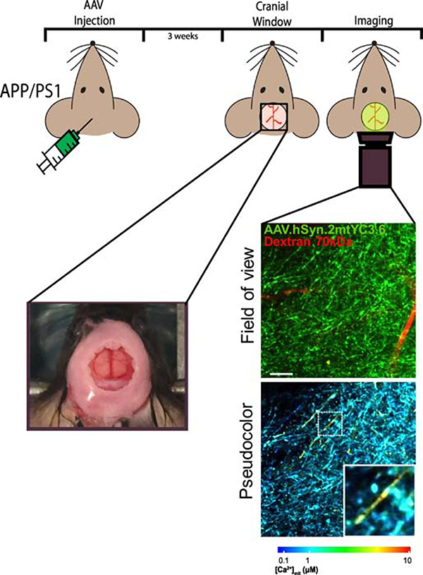 Figure 2.