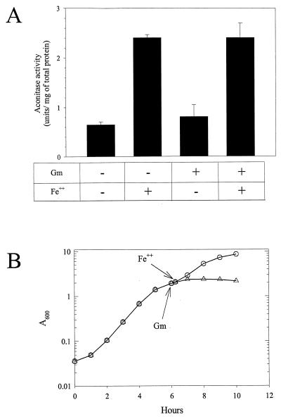 FIG. 7