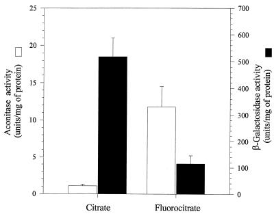 FIG. 6