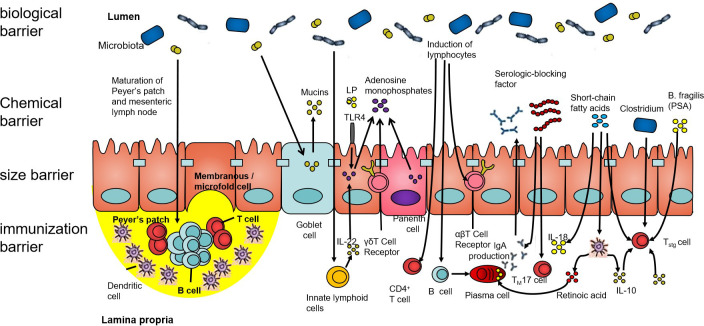 Figure 1