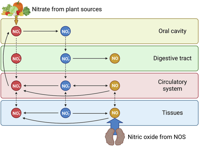 FIGURE 1