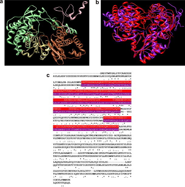 Figure 4