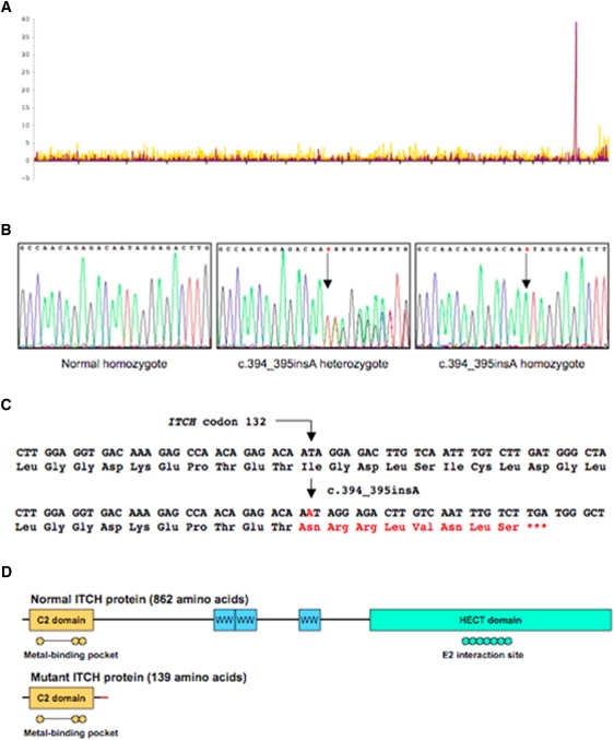 Figure 4