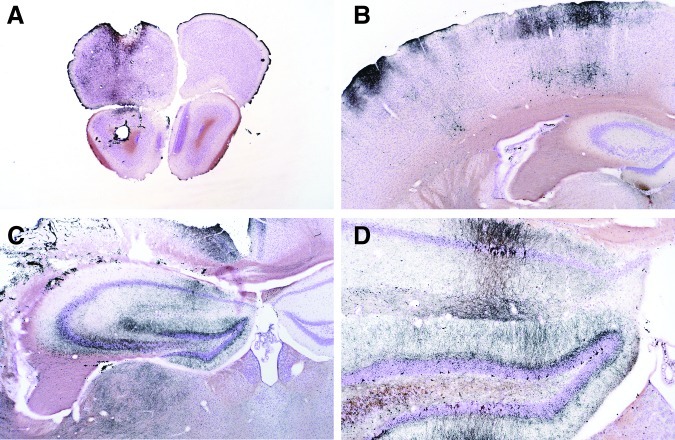 FIG. 17.