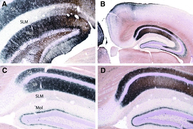 FIG. 18.