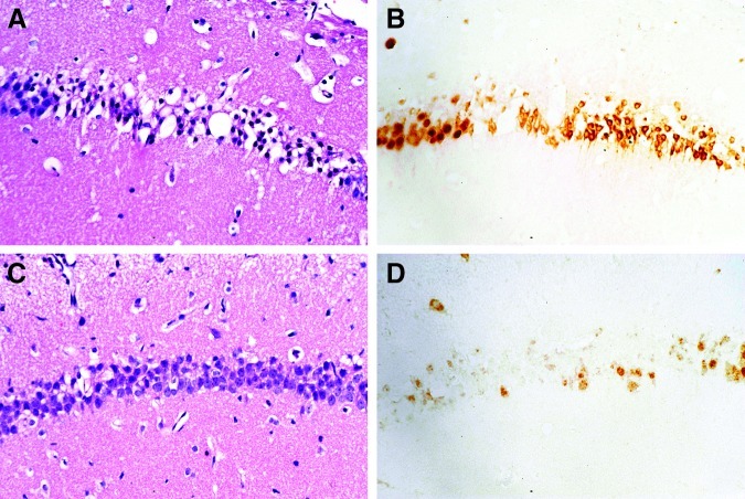 FIG. 15.