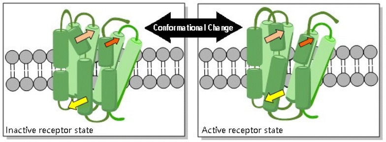 Fig. 3