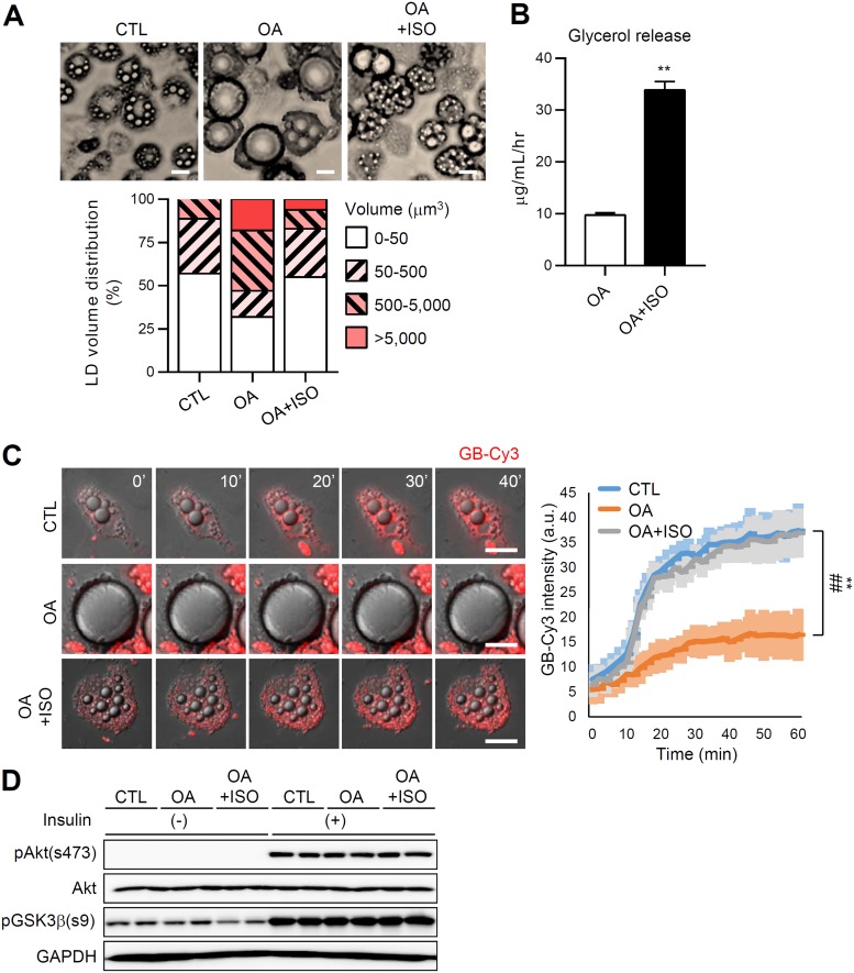 FIG 2