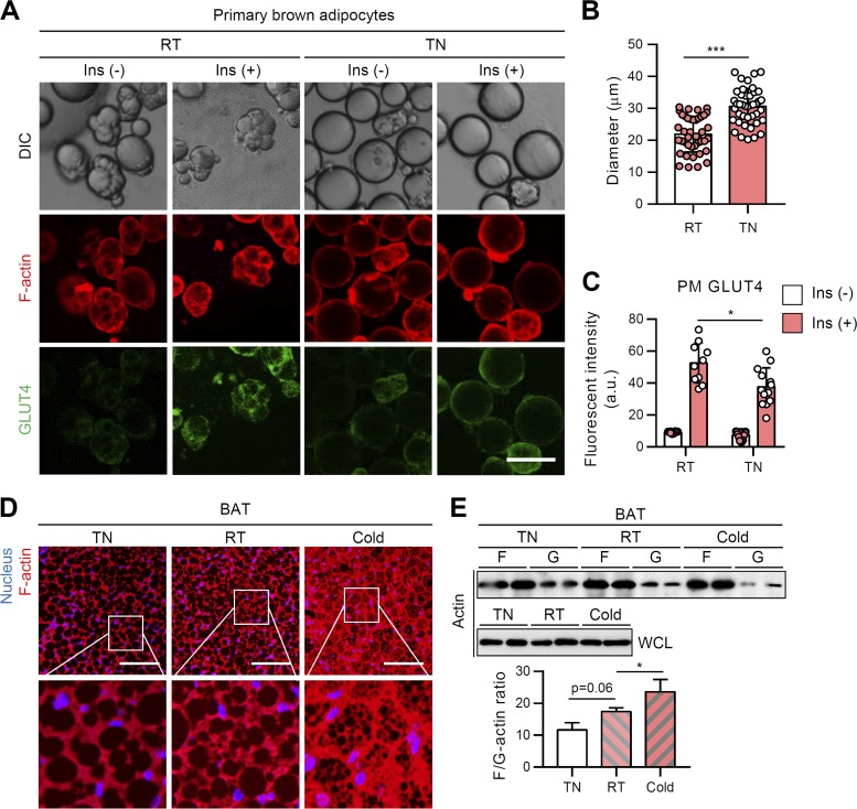 FIG 4