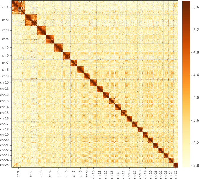 Fig. 2