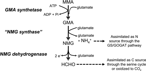 FIG. 6.