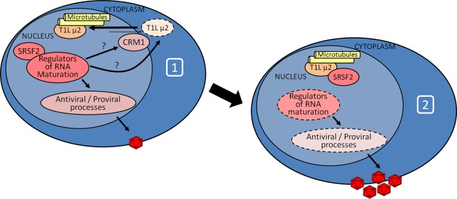 FIG 9