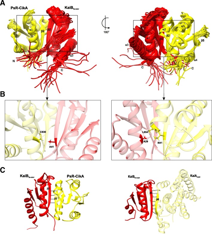 Fig. 15