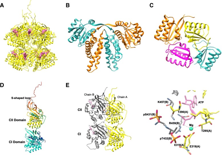 Fig. 4