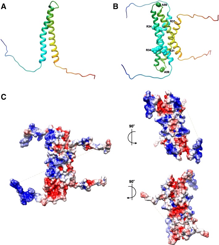 Fig. 13