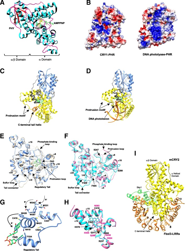 Fig. 16