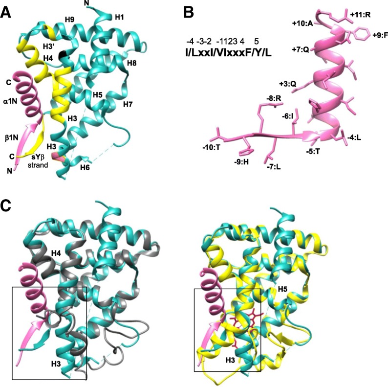 Fig. 12