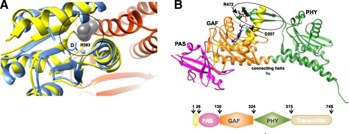 Fig. 14