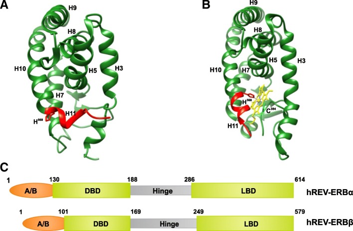 Fig. 11