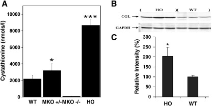 Fig. 7