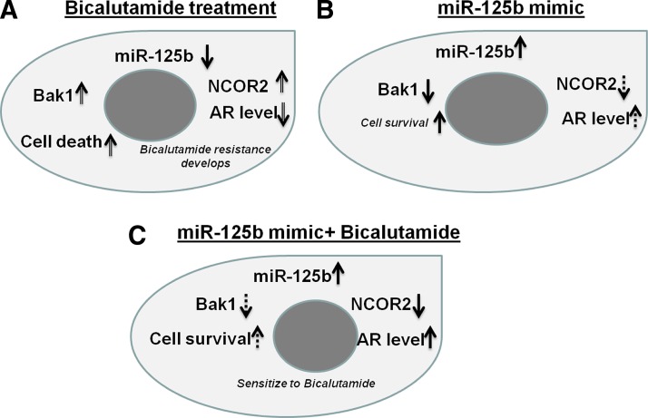 FIG. 6.