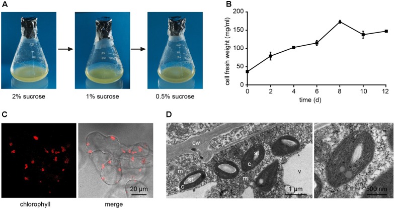 FIGURE 2